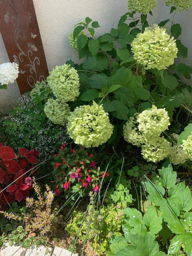 La Glycine B&B Sainte-Colombe (Isere) Exterior foto