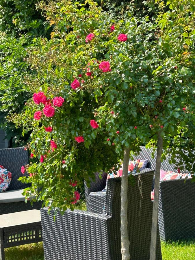 La Glycine B&B Sainte-Colombe (Isere) Exterior foto